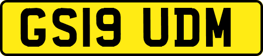 GS19UDM