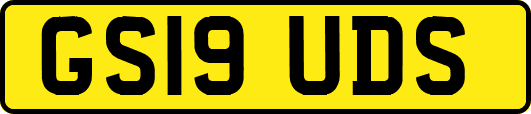 GS19UDS