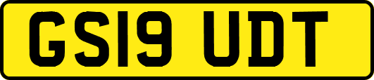 GS19UDT
