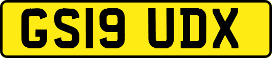 GS19UDX
