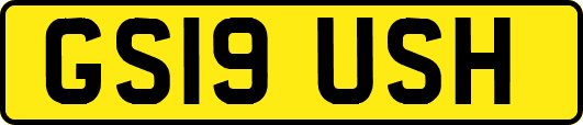 GS19USH