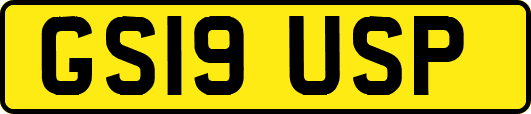 GS19USP