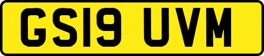 GS19UVM