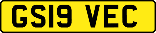 GS19VEC