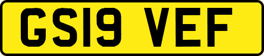 GS19VEF