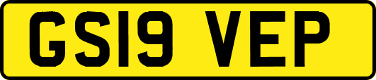 GS19VEP