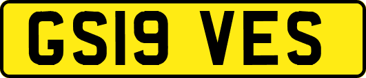GS19VES