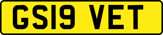 GS19VET