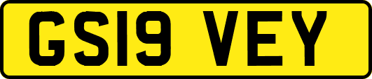 GS19VEY