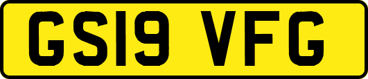 GS19VFG