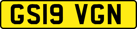 GS19VGN