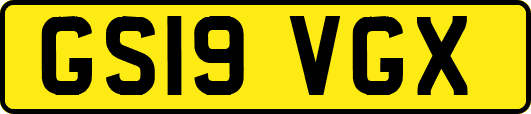 GS19VGX
