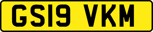 GS19VKM