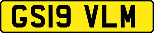 GS19VLM