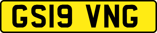 GS19VNG