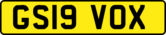 GS19VOX