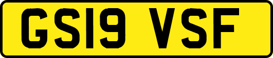 GS19VSF