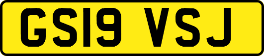 GS19VSJ
