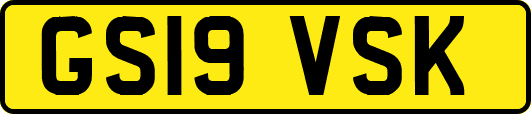 GS19VSK