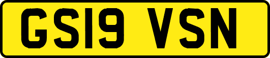 GS19VSN