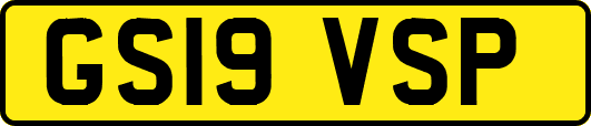 GS19VSP