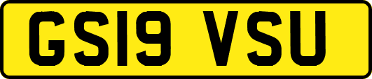 GS19VSU