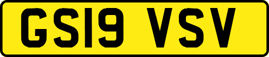 GS19VSV