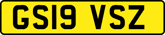 GS19VSZ