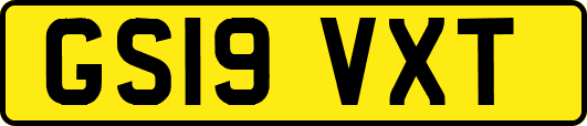 GS19VXT