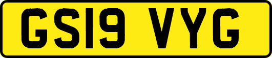 GS19VYG