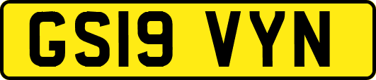 GS19VYN