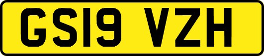 GS19VZH