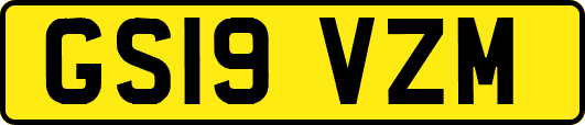 GS19VZM