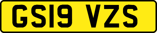 GS19VZS