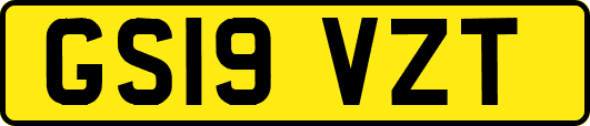 GS19VZT