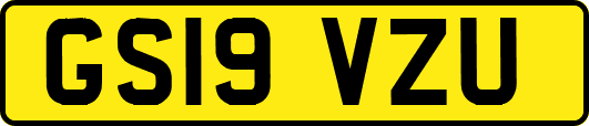 GS19VZU