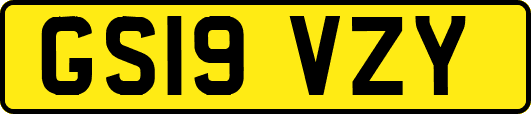 GS19VZY