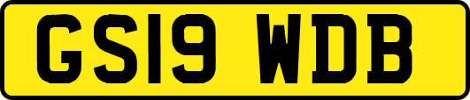 GS19WDB