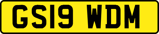 GS19WDM