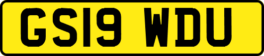 GS19WDU