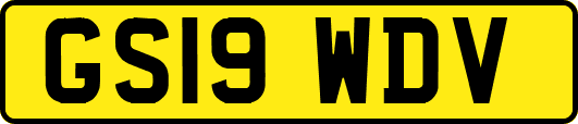 GS19WDV