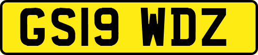 GS19WDZ