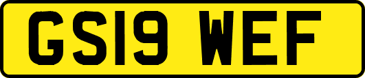 GS19WEF