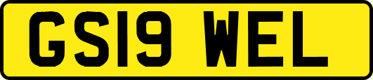 GS19WEL
