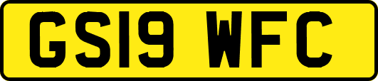 GS19WFC