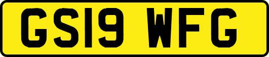 GS19WFG