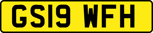 GS19WFH