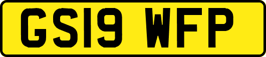 GS19WFP