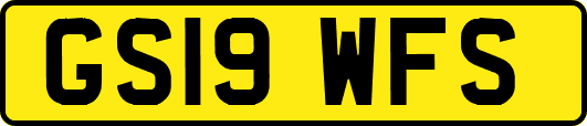 GS19WFS