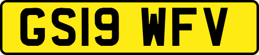 GS19WFV